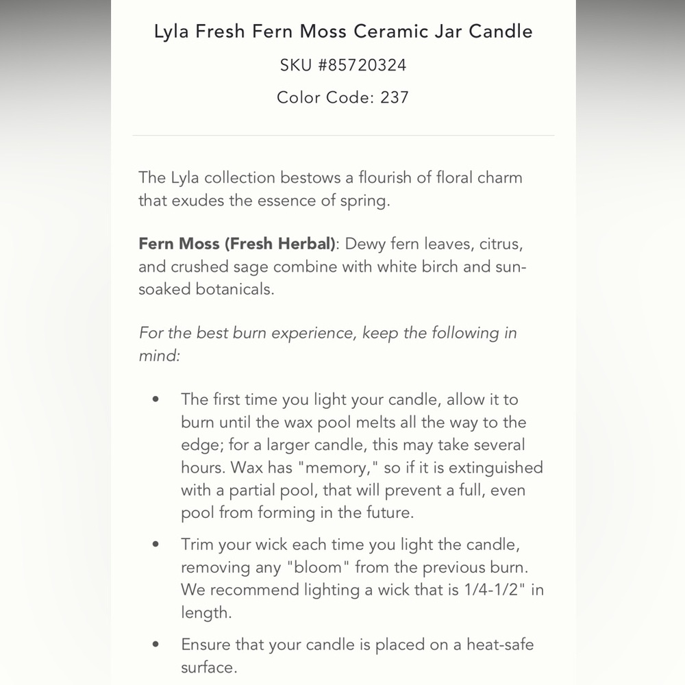 Lyla Fern Moss candle in a jar - Picture 3 of 5